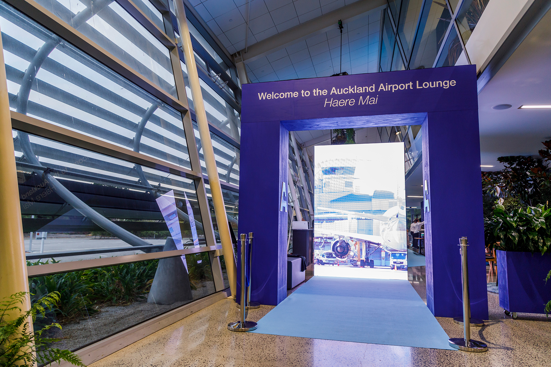 Exhibition Design ... Auckland Airport Lounge, TRENZ 2019