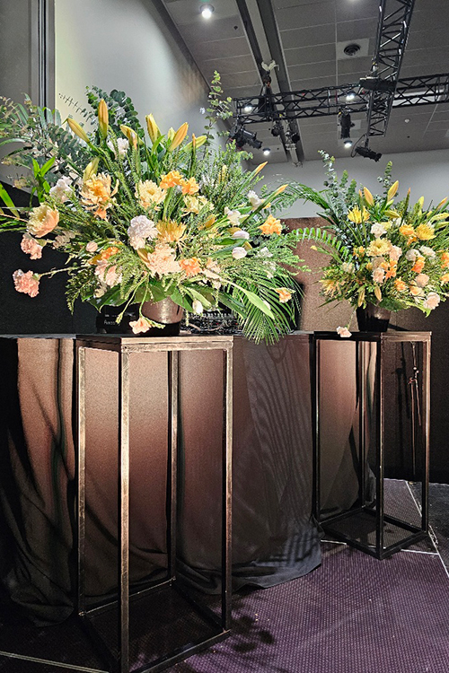 Product Launch ... ASB Bank Opening of the NZ Art Show 2024