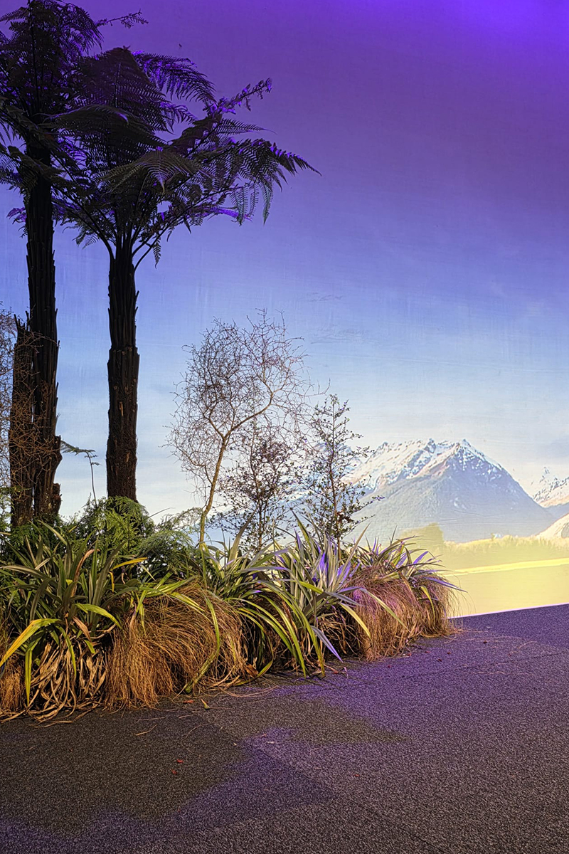 Conferences ... WONCA World Rural Health Conference 2026